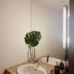 Apartament Egzotyczny