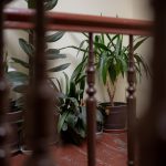 Piernikowy Toruń z parkingiem