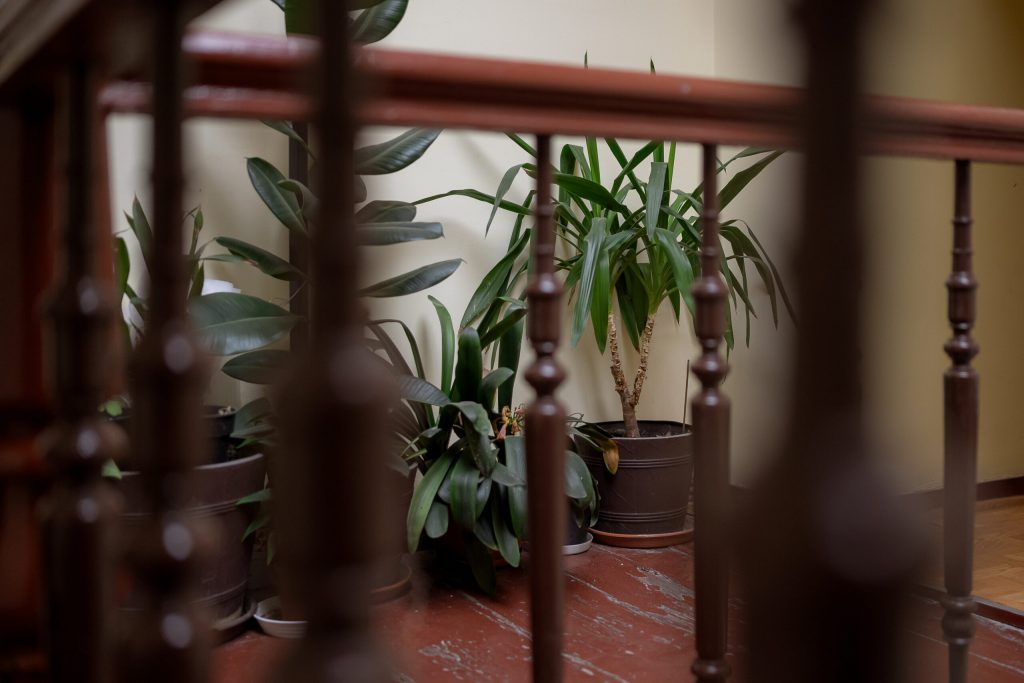 Cynamonowy Toruń z parkingiem